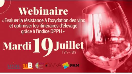 Webinaire – Evaluer la résistance à l’oxydation des vins et optimiser les itinéraires d’élevage grâce à l’indice DPPH – 19 juillet