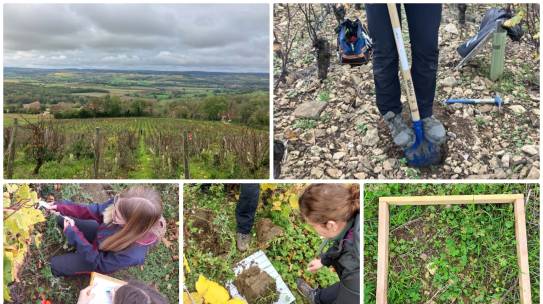 Jour 2 de l’audit terroir à Vézelay pour les Master 2 Vigne Vin Terroir