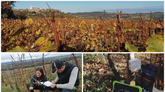 Jour 3 de l’audit pour nos Master 2 Vigne Vin Terroir